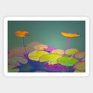 lotus floating leaves Sticker